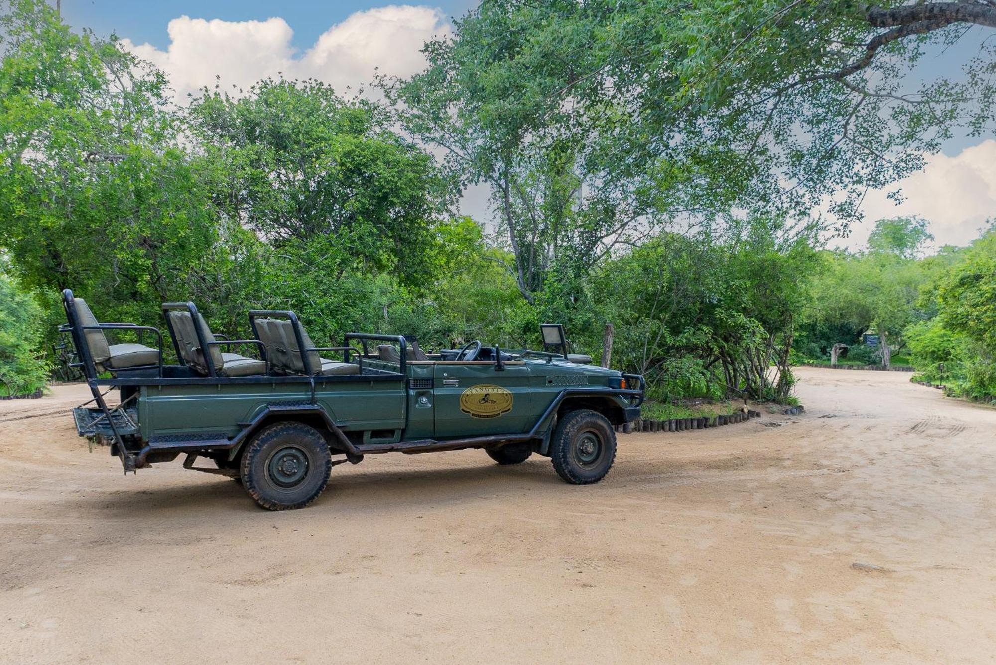 Villa Tangala Safari Camp Wildreservat Thornybush Exterior foto