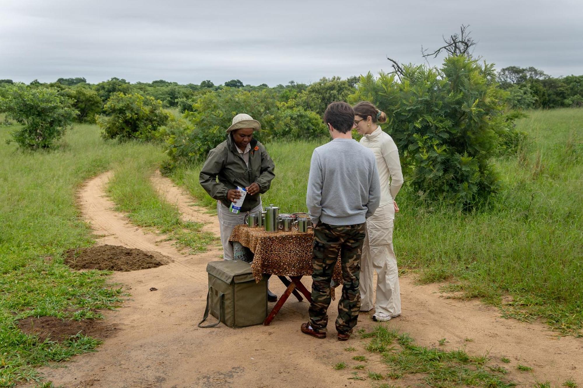 Villa Tangala Safari Camp Wildreservat Thornybush Exterior foto